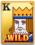 Wild Ace Slot - Wild 3 - Pedas77.co