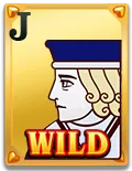 Wild Ace Slot - Wild 1 - Pedas77.co