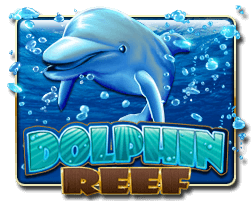 Dolphin Reef - Pedas77