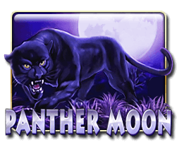 Panther Moon - Pedas77