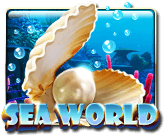 Sea World - Pedas77